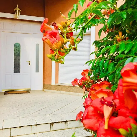 Bed & Breakfast Apollo Velence